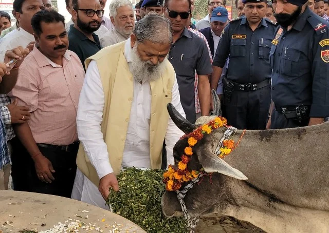 गौमाता का पालन-पोषण करने से बढ़ेगा राष्ट्र का गौरव - विज