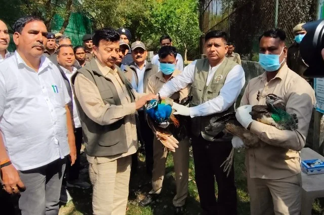 प्रकृति के साथ संतुलन के लिए पक्षियों का संरक्षण जरूरी - मंत्री