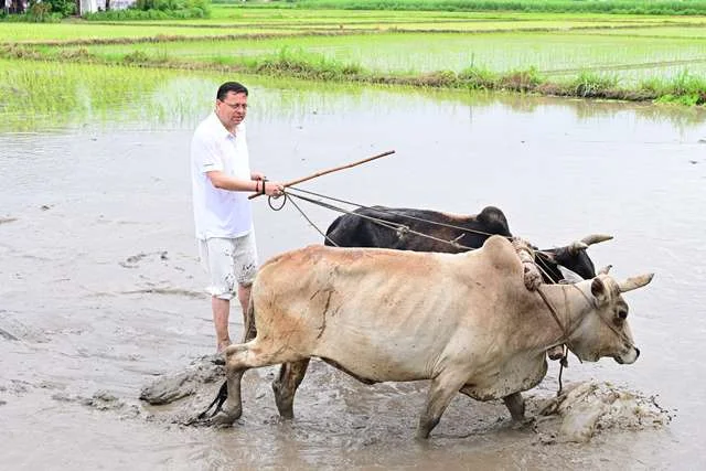 मुख्यमंत्री धामी ने धान रोपकर किसानों को दी सलामी