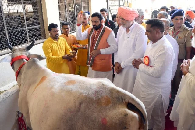सीएम सैनी ने जारी किए 1.80 करोड़, कुरुक्षेत्र की गौशालाओं को मिलेगा लाभ