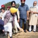 पंजाब में बाढ़ से प्रभावित धान फसल पर केंद्र से राहत की अपील