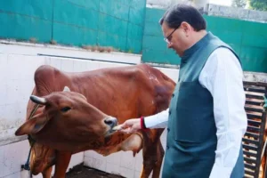 सीएम धामी ने मुख्यमंत्री आवास स्थित गौशाला में मनाई गोवर्धन पूजा