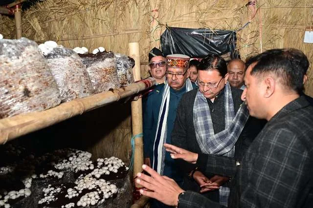 मशरूम उत्पादन से किसानों की आय बढ़ेगी मुख्यमंत्री धामी