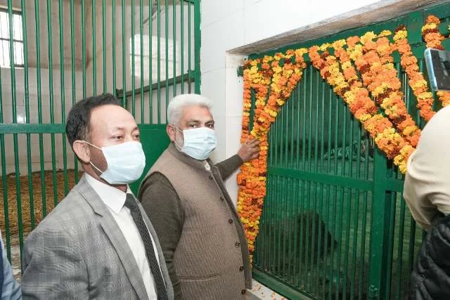 गरिमा, गुंजन और ग़ज़ल नाम से पुकारे जाएंगे गौरी के तीनों मादा शावक