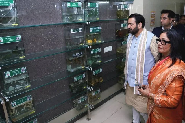 तनाव, मधुमेह जैसी बीमारियों में आयुर्वेद कारगर सैनी